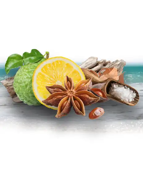 Shore Thing Clean Fragrance - Clean Fragrances